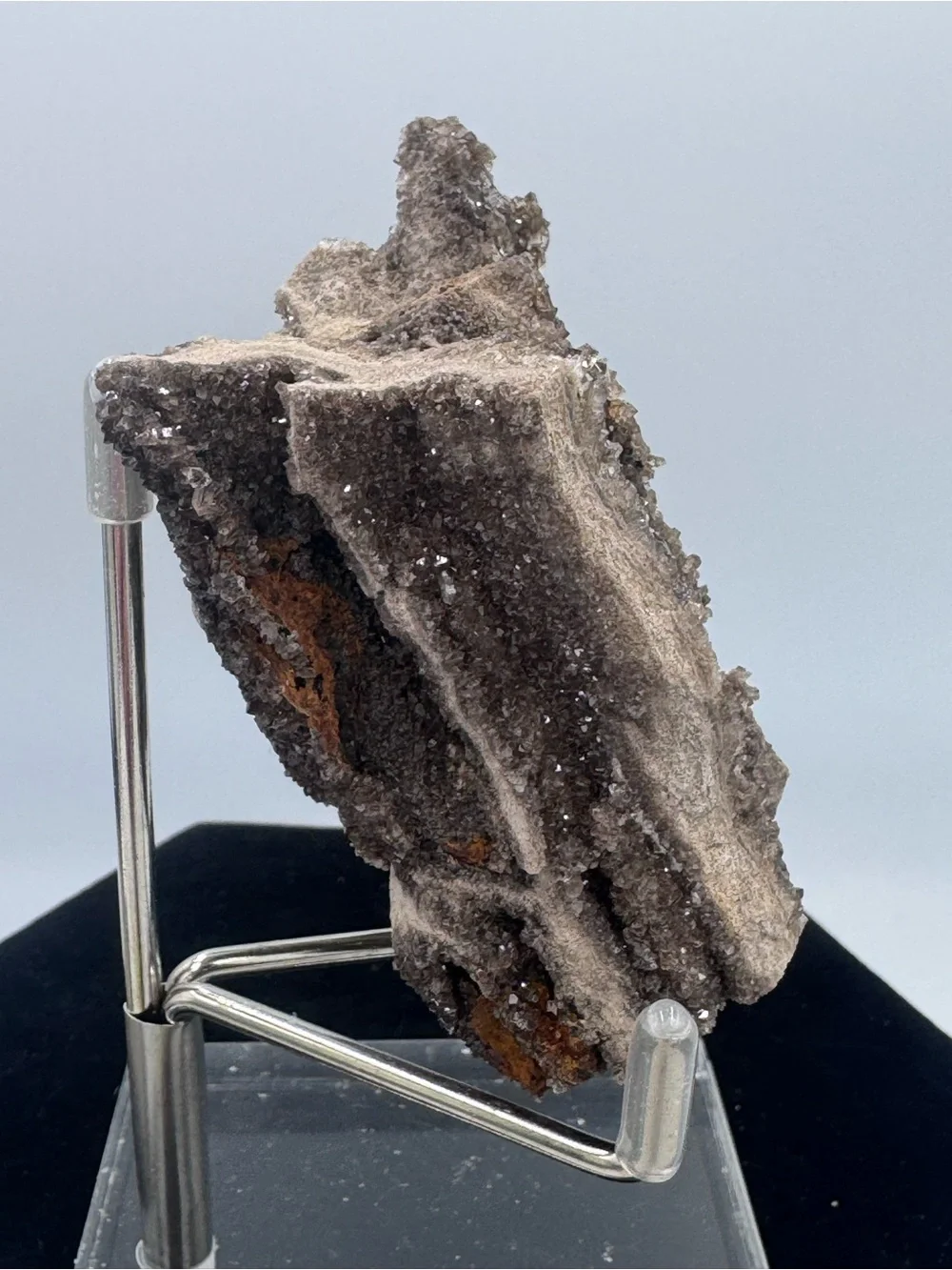 Petrified Wood Druzy Display - Brown Sparkling Crystal Brilliant Alabama
